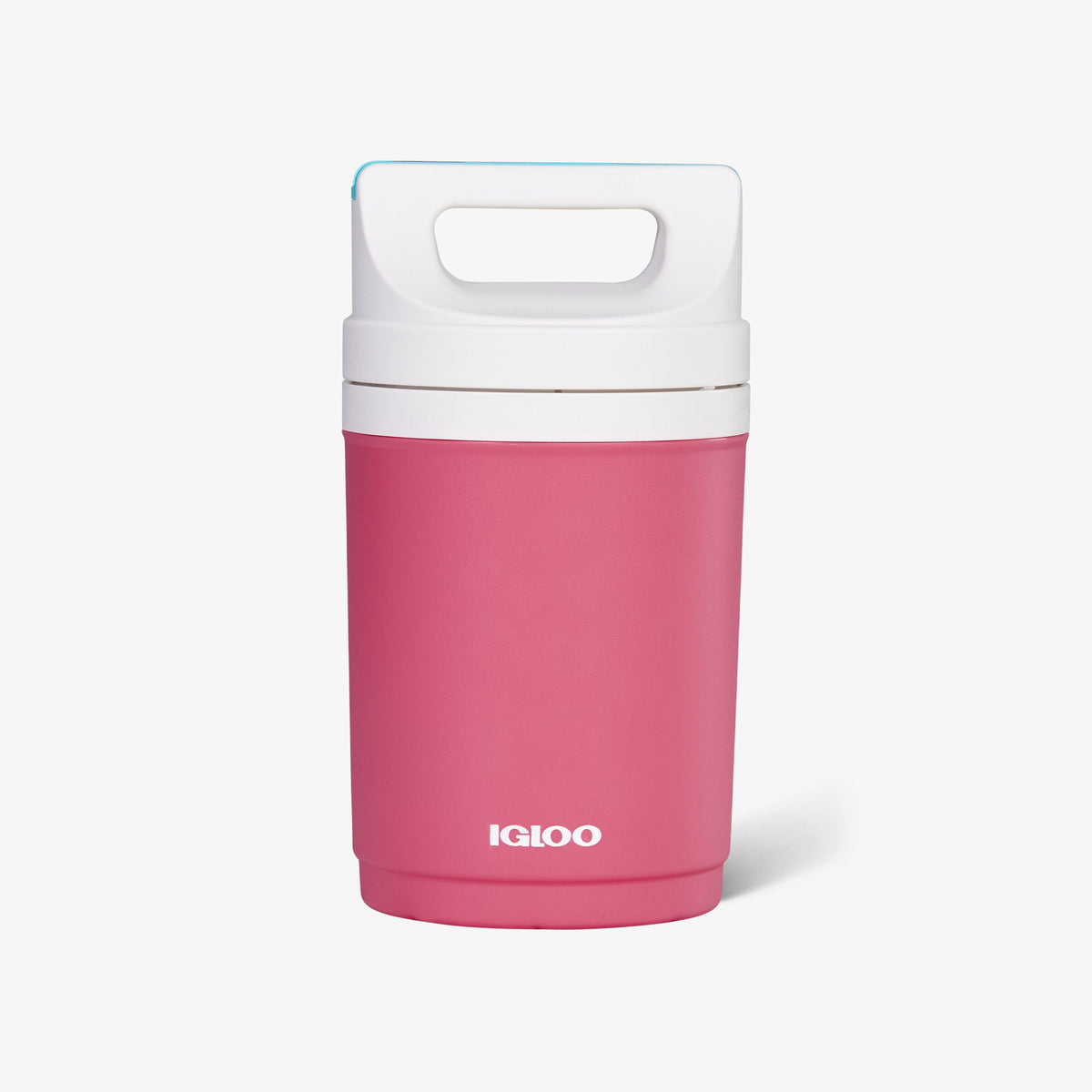 retro-playmate-half-gallon-jug-a2 00070862-F.jpg